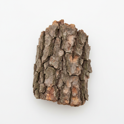 Bark